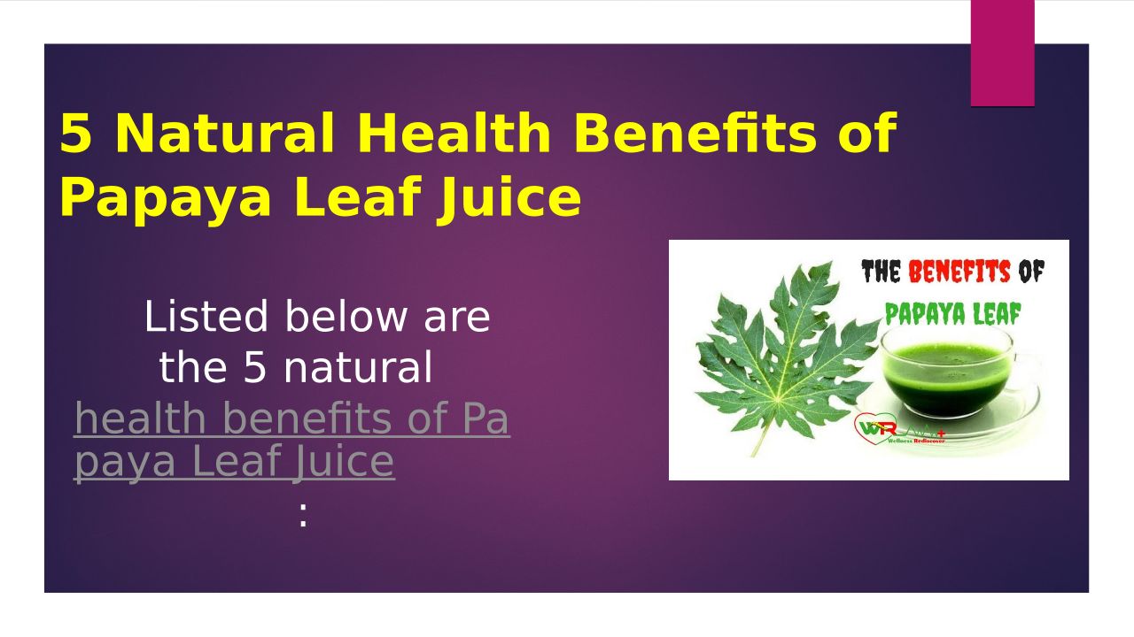 Health Papaya Leaf Juice Have These 5 Benefitsbenefits Of Papaya Leaf Juice