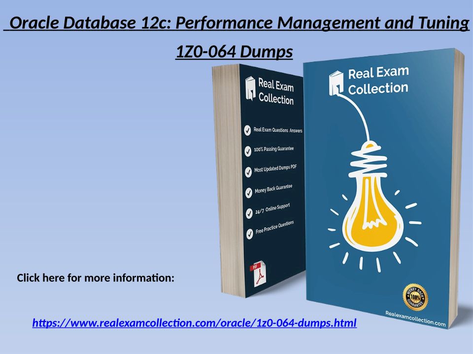 1Z0-082 Pdf Dumps