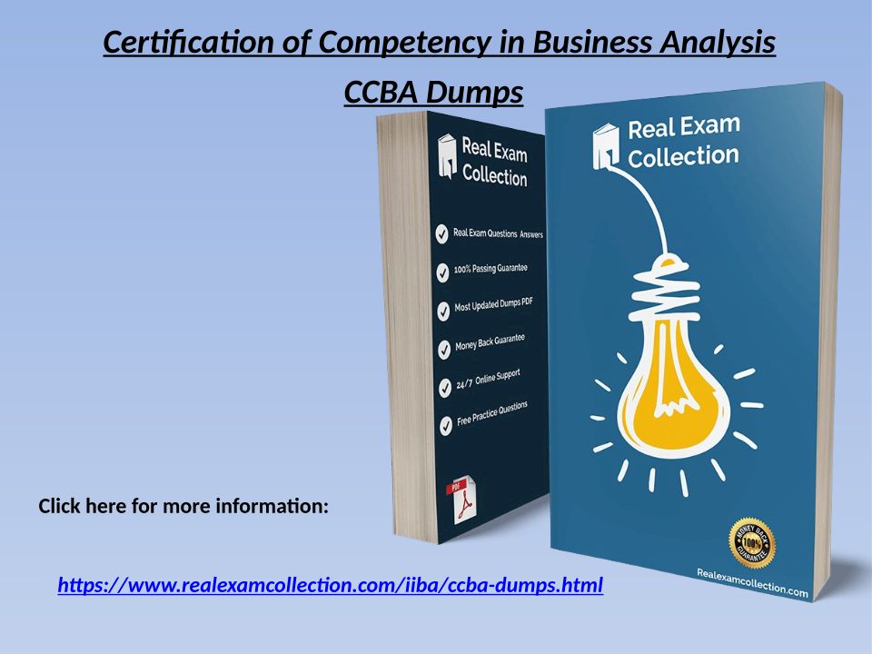 CCBA Exam Demo