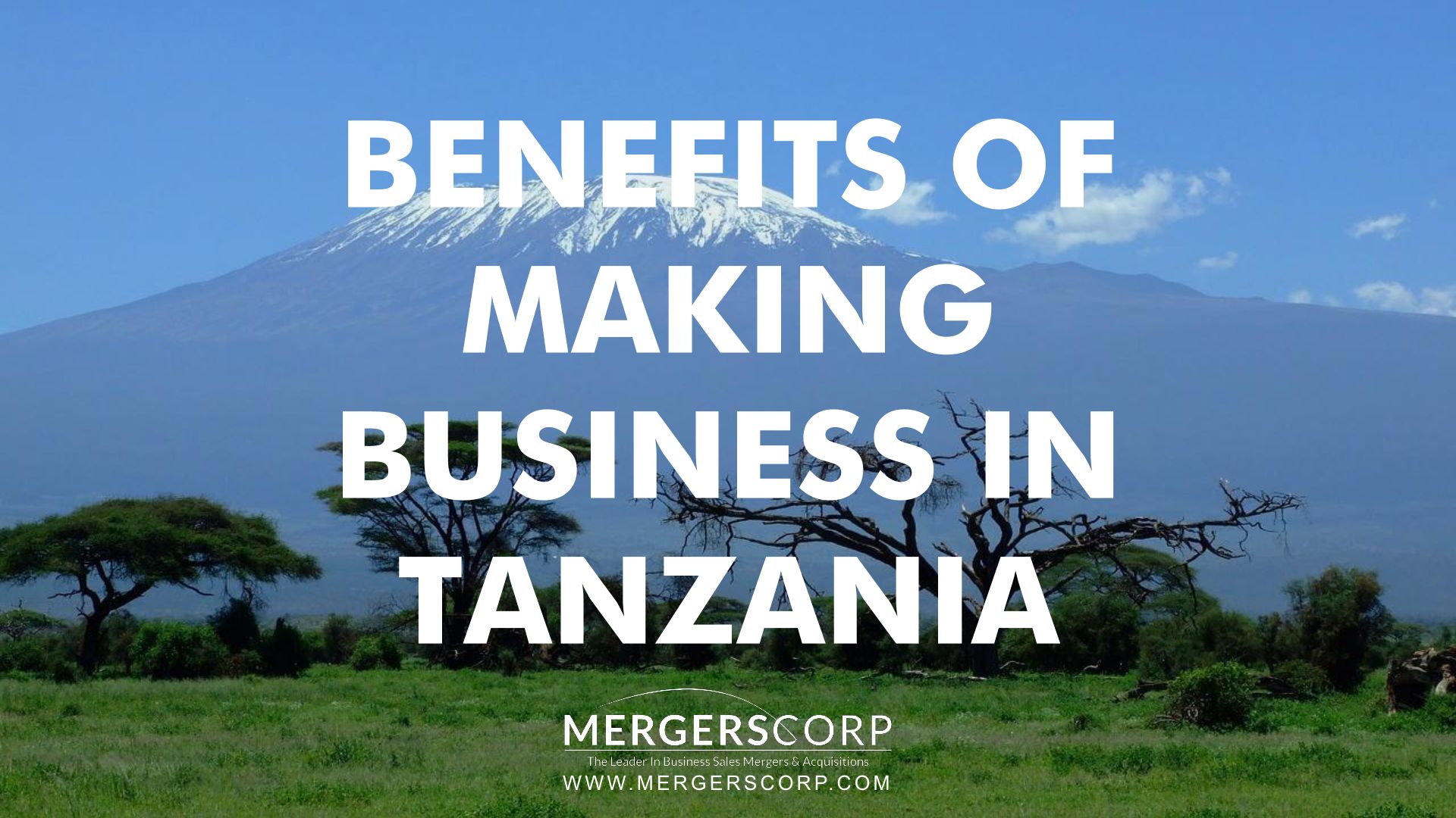 small business plans in tanzania