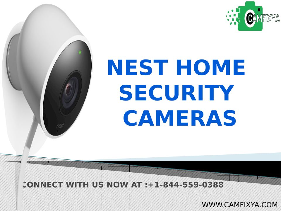 the nest camera login