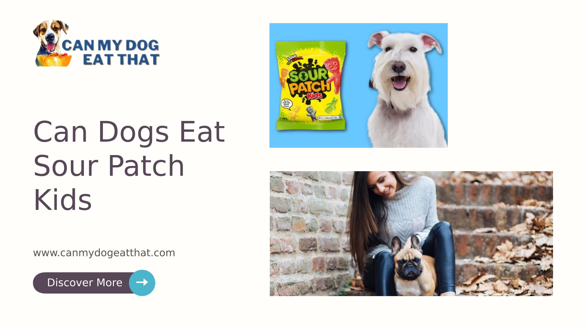 Can Dogs Eat Sour Patch Kids Can My Dog Eat That